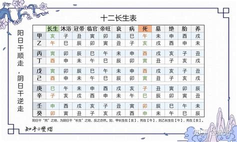 八字冠帶|八字十二長生解讀——胎、養